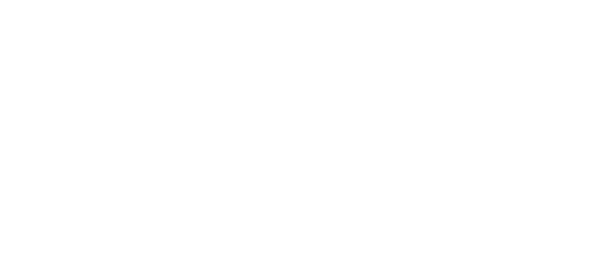 Boston Scientific